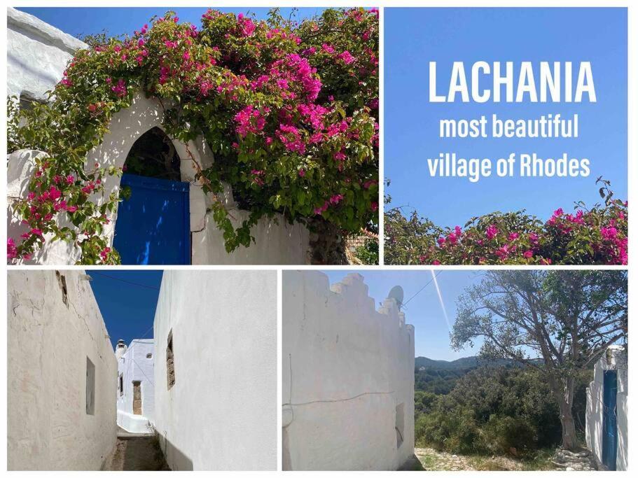 Casacarma Iii, Private Pool, Boho Design, Lakhania
